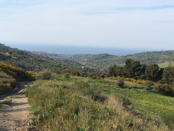 Terreno a Collesano in Strada Provinciale 9 - Foto 3