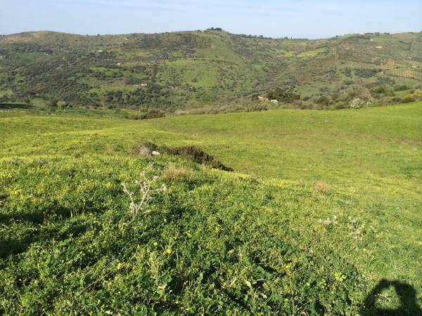 Terreno a Collesano in Strada Provinciale 9 - Foto 4