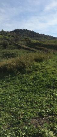 Terreno a Collesano in Strada Provinciale 9 - Foto 5