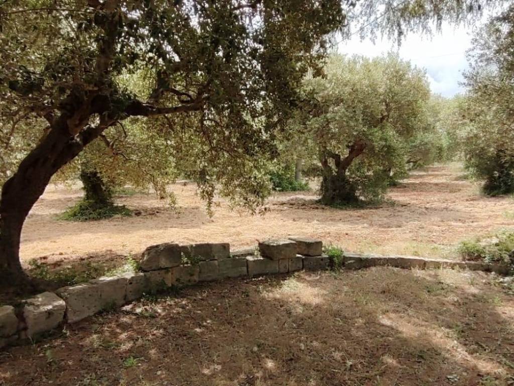 Villa a Martina franca in VIA PARETONE - Foto 5