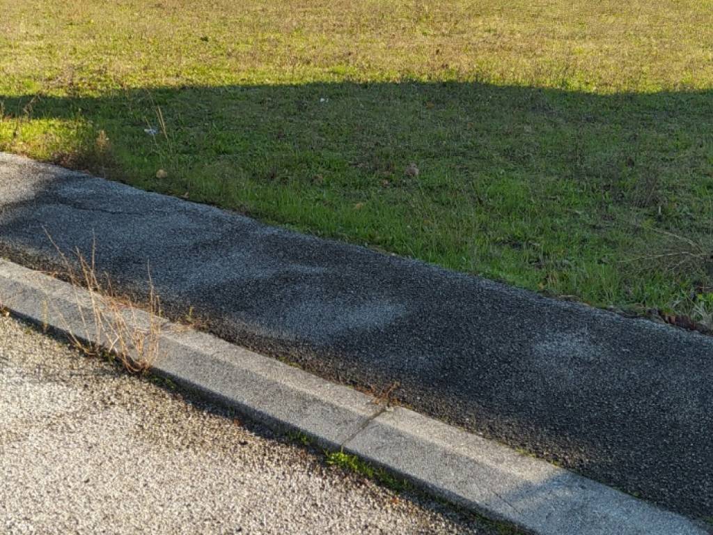 Terreno a Lugo in Via Giuseppe Massarenti, 44 - Foto 2