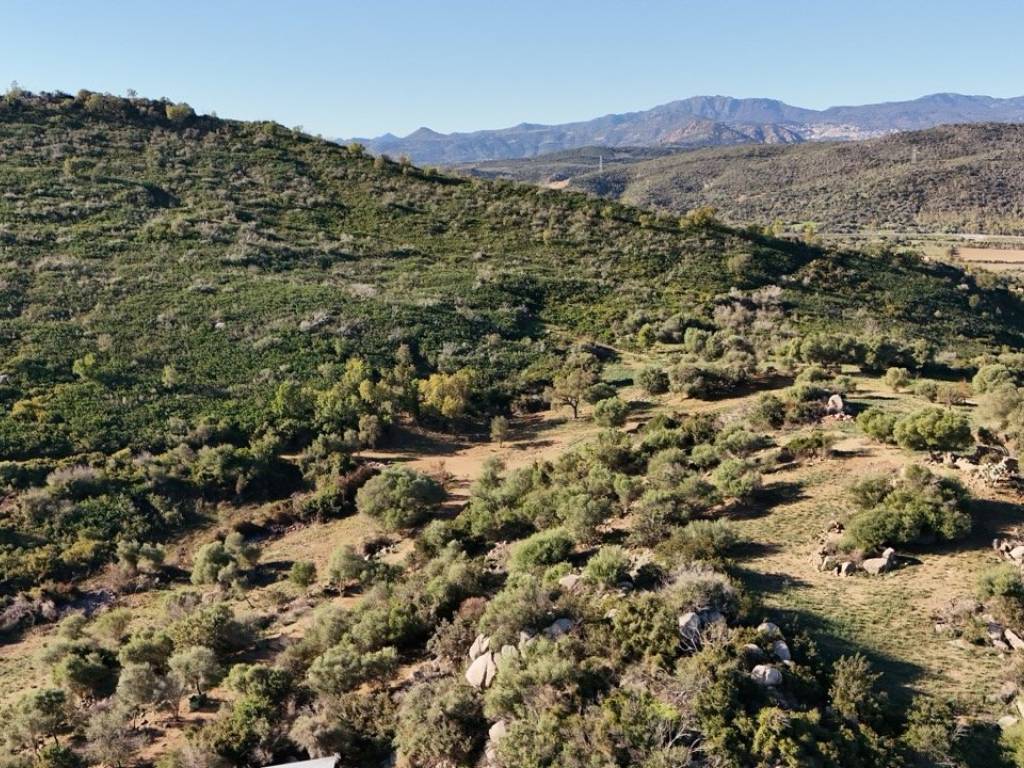 Terreno a Tortolì in Località Orrì - Foto 5