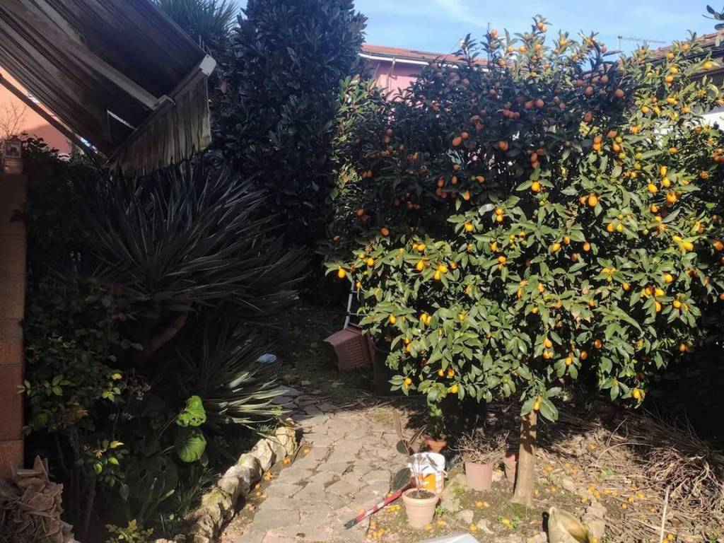 Villa a Sarzana in Via Nave, 35 - Foto 5