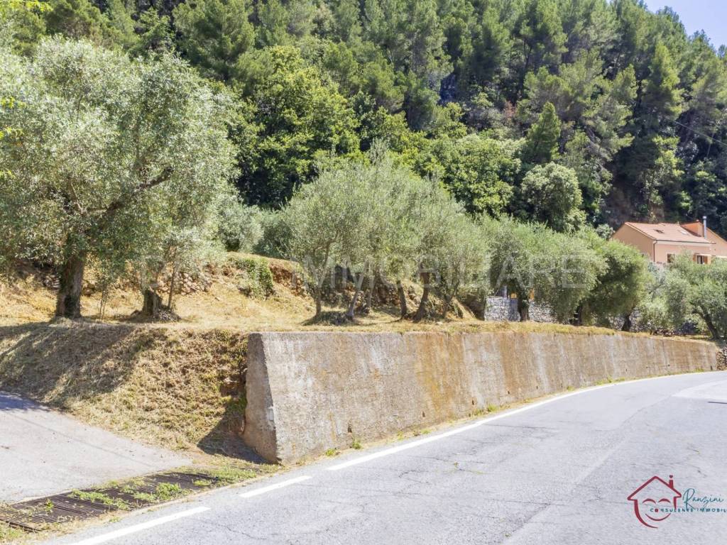 Terreno a Ortovero - Foto 2