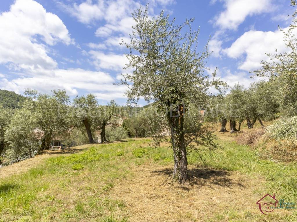 Terreno a Ortovero - Foto 3