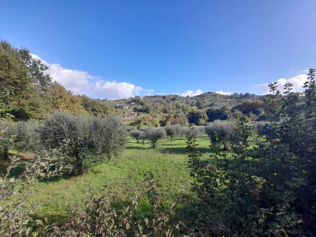 Terreno a Anagni in Via Fossate della Badia - Foto 2