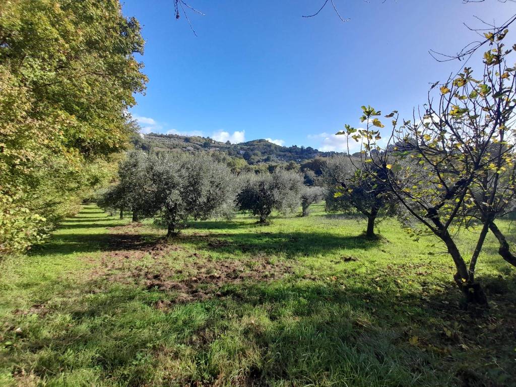 Terreno a Anagni in Via Fossate della Badia - Foto 3
