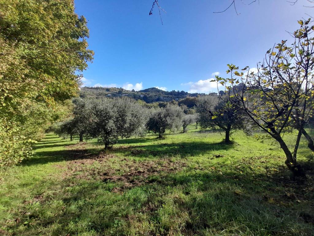 Terreno a Anagni in Via Fossate della Badia - Foto 5