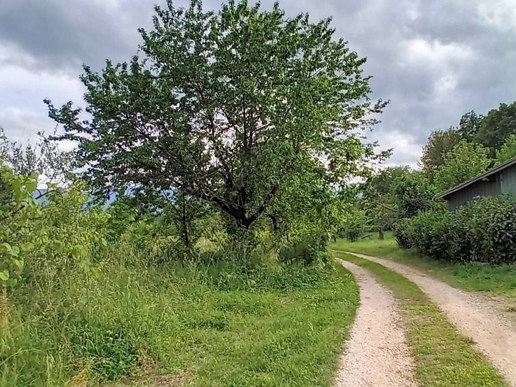 Rustico / casale a Anagni in Ponte del Papa - Foto 2