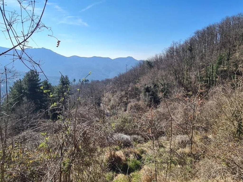 Terreno a Castiglione chiavarese in Località Baresi, 15 - Foto 4