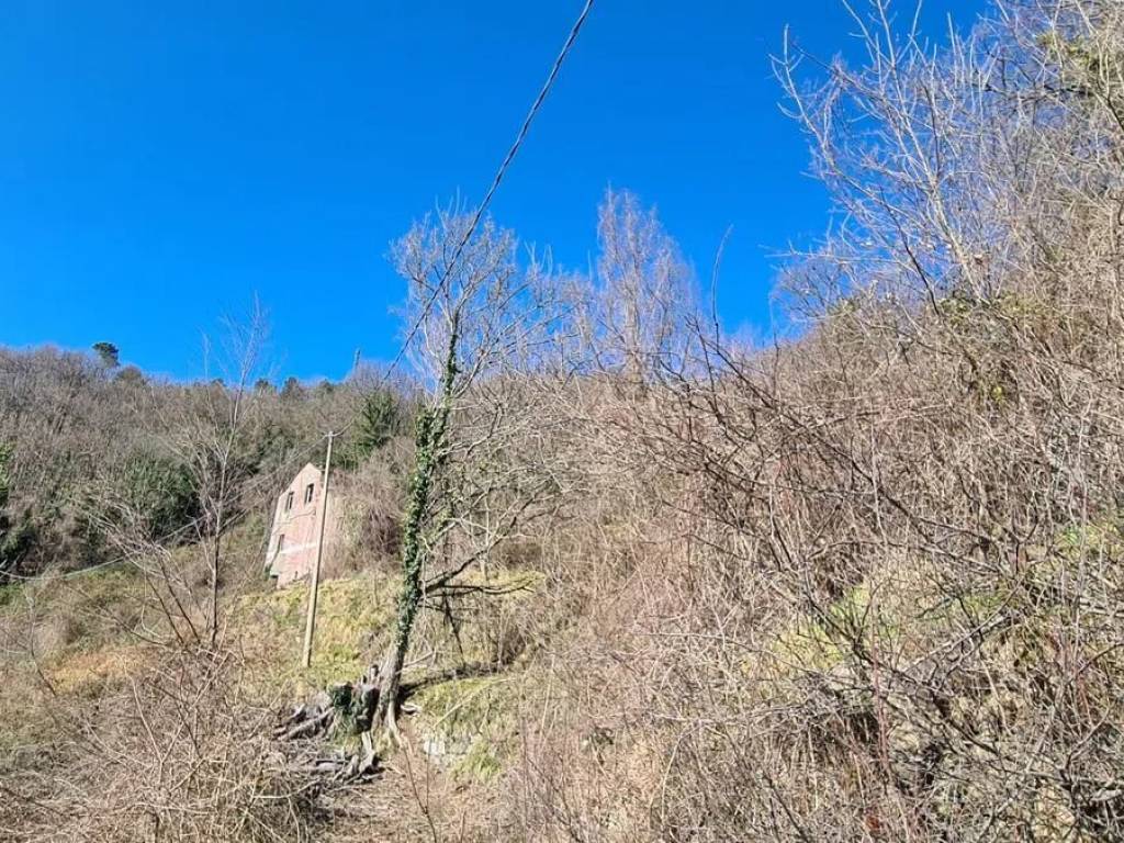 Terreno a Castiglione chiavarese in Località Baresi, 15 - Foto 5