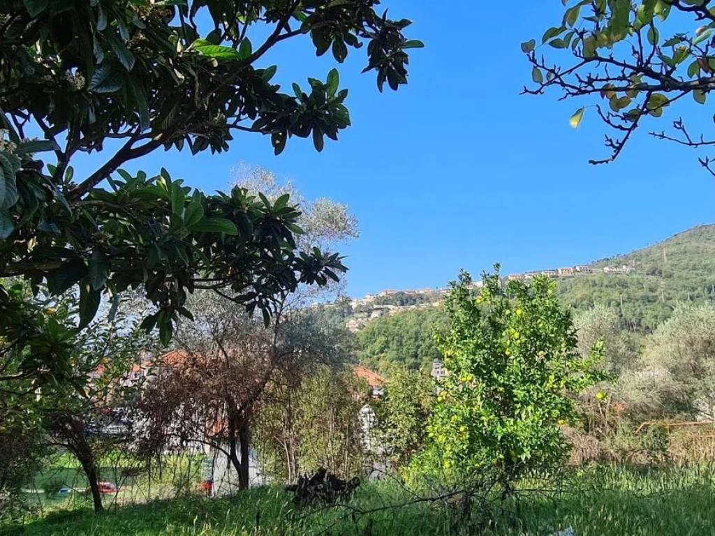 Terreno a Casarza ligure - Foto 4