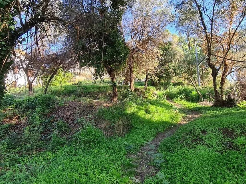 Terreno a Casarza ligure - Foto 5