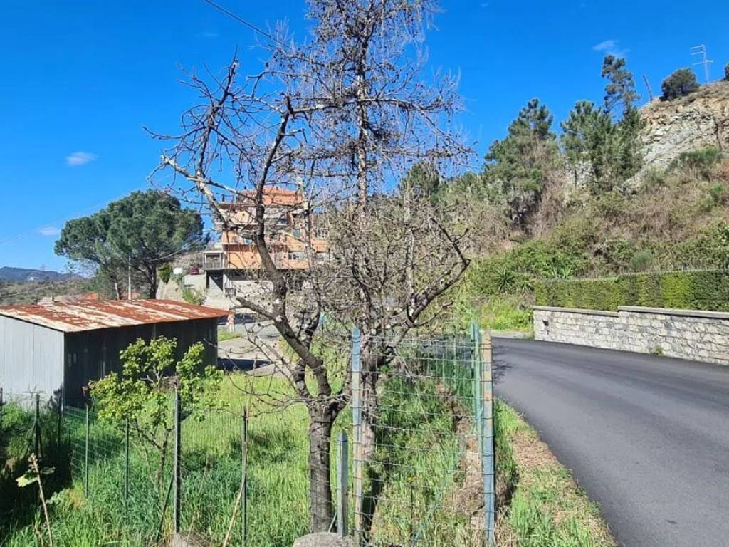 Terreno a Casarza ligure - Foto 4