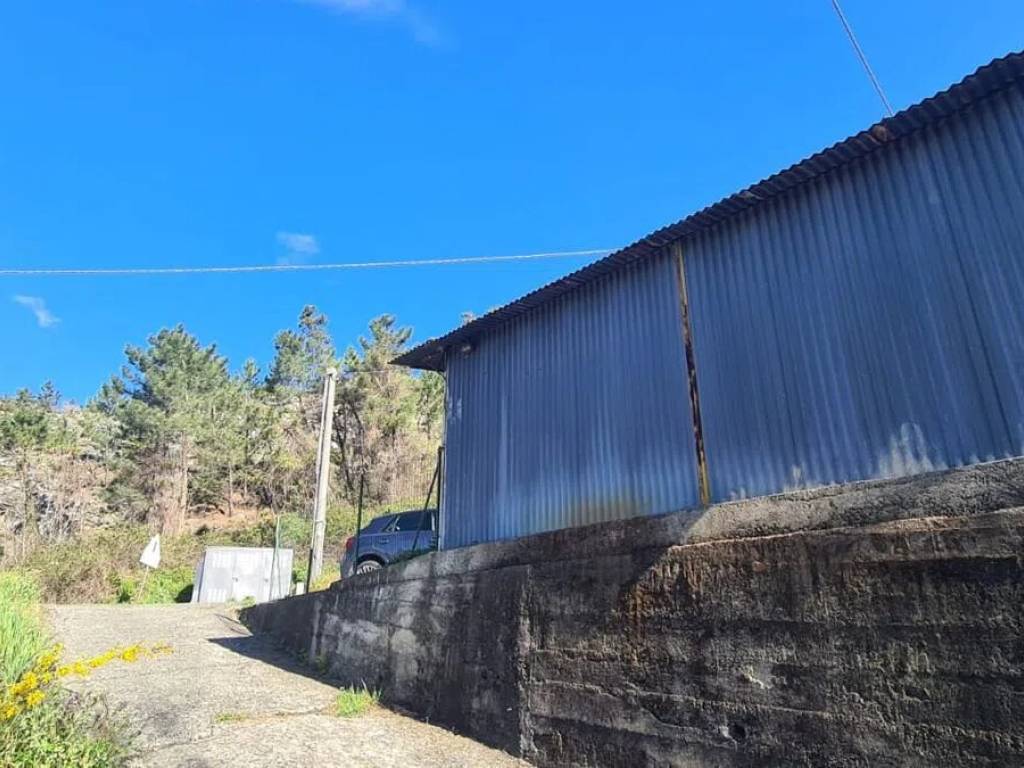 Terreno a Casarza ligure - Foto 5