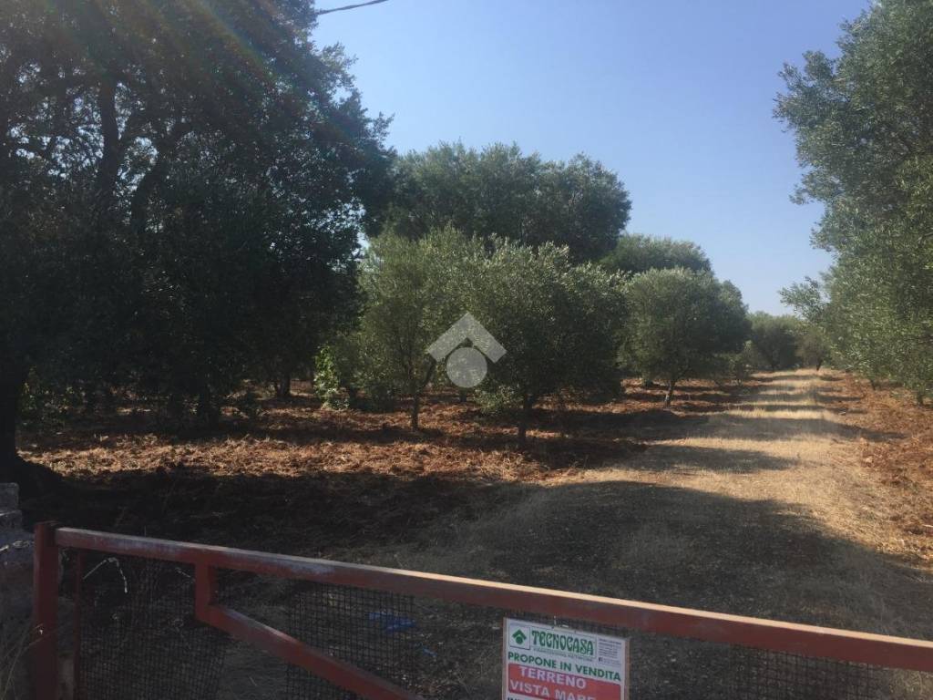Terreno a Carovigno in Contrada Sierri - Foto 3