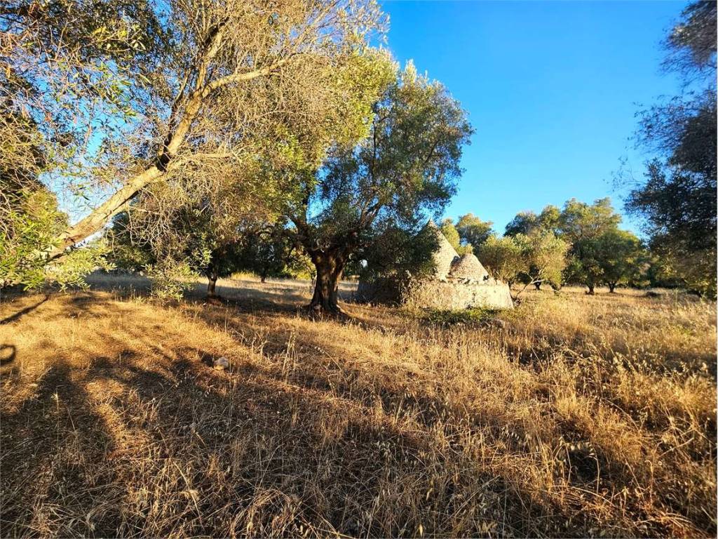 Rustico / casale a Carovigno - Foto 4