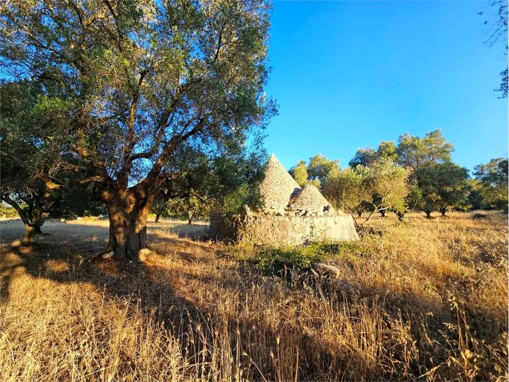 Rustico / casale a Carovigno - Foto 5