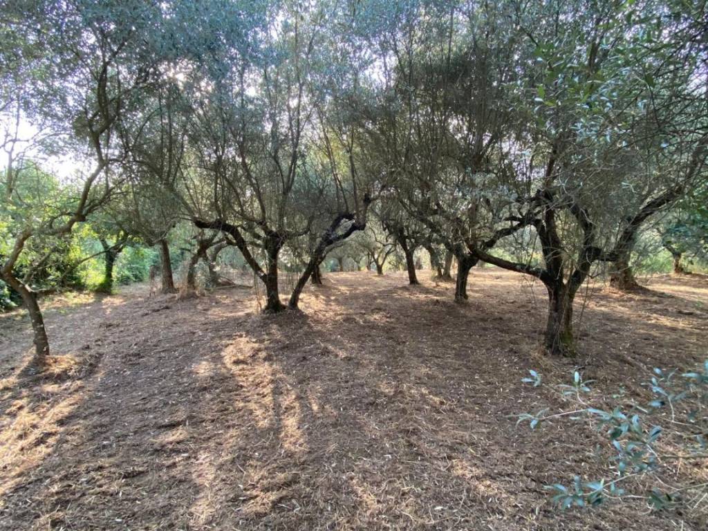 Terreno a Anagni in Via Colle Saricone - Foto 3