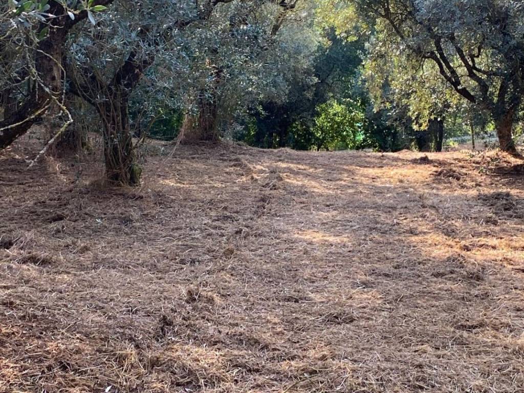 Terreno a Anagni in Via Colle Saricone - Foto 4