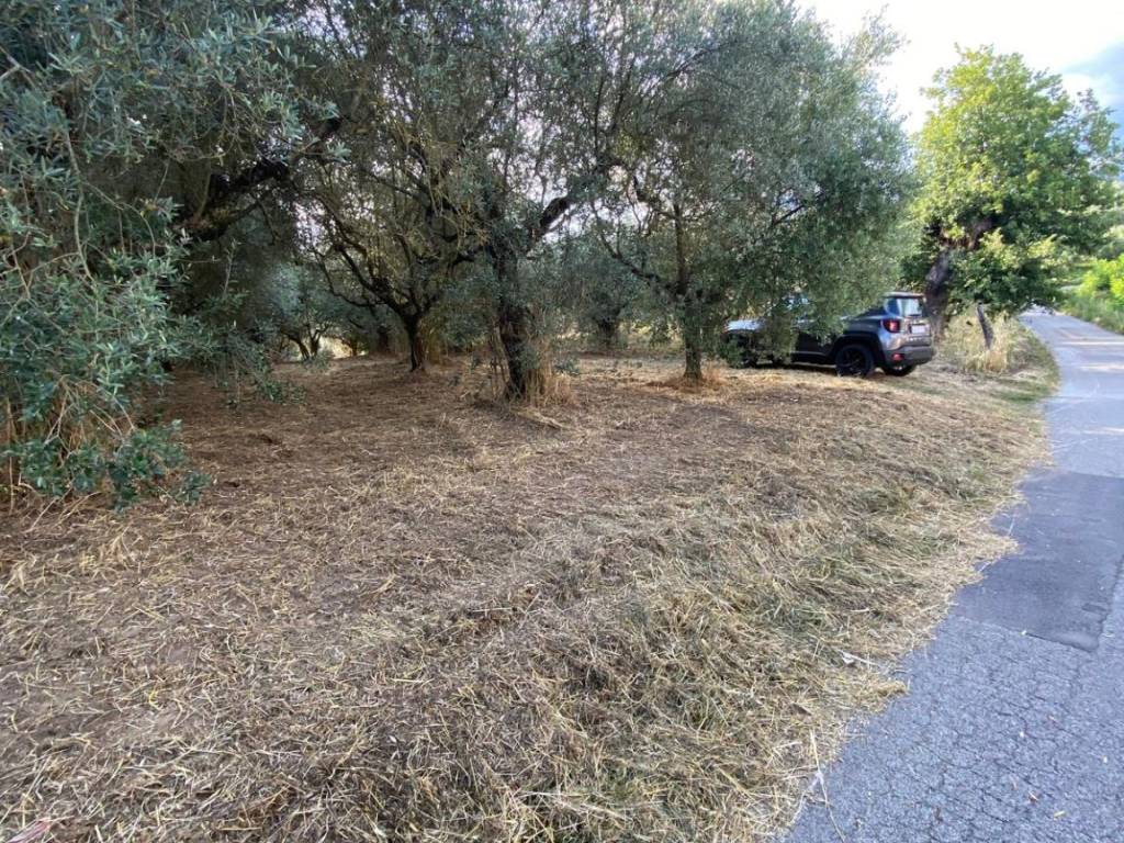 Terreno a Anagni in Via Colle Saricone - Foto 5