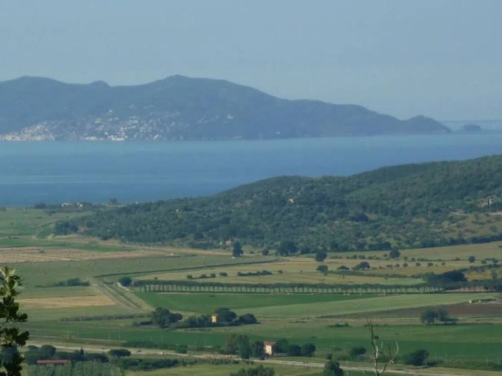 Terreno a Magliano in toscana in Strada Di Cupi S.N.C. - Foto 2