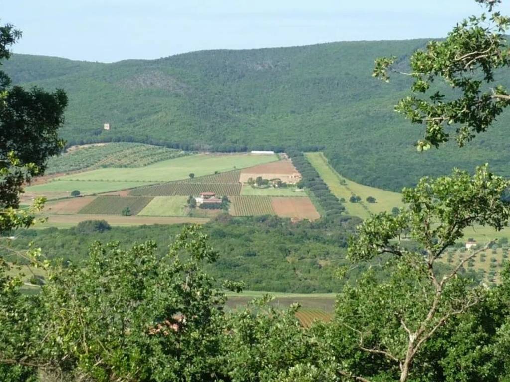 Terreno a Magliano in toscana in Strada Di Cupi S.N.C. - Foto 3