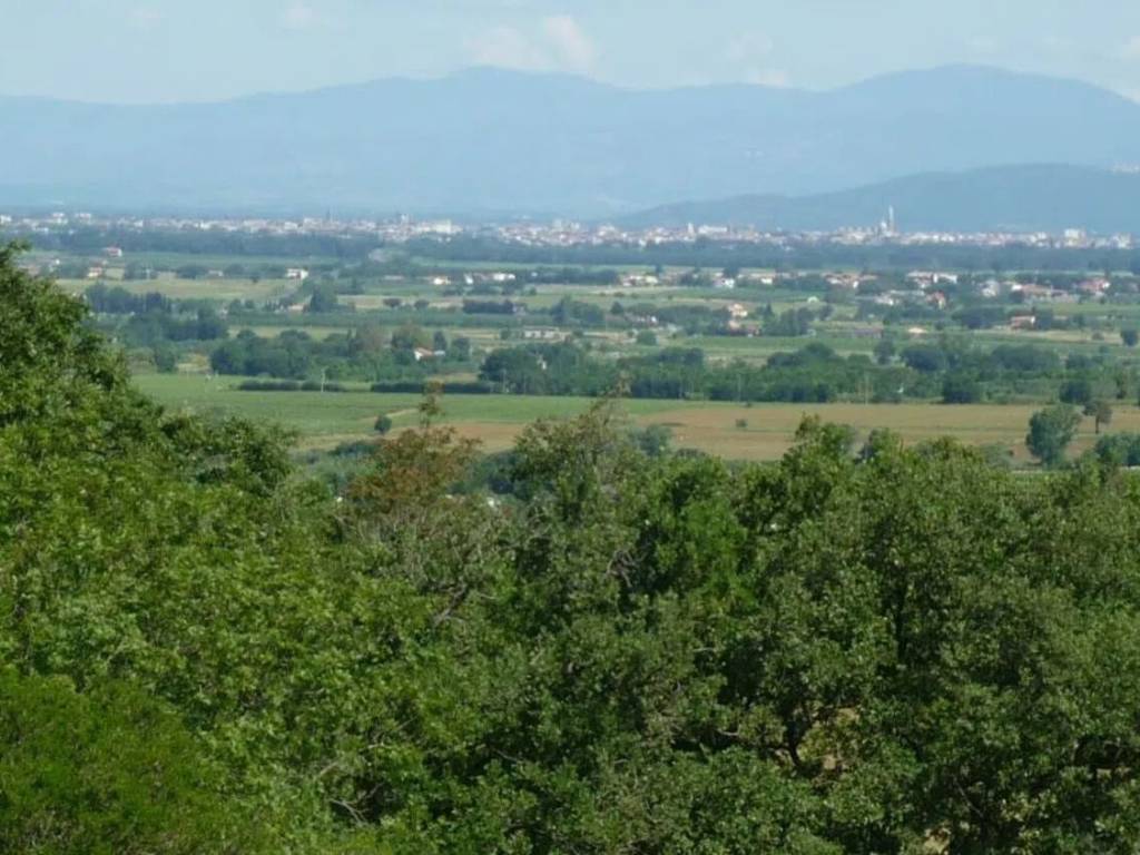 Terreno a Magliano in toscana in Strada Di Cupi S.N.C. - Foto 5