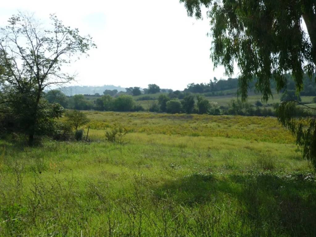 Terreno a Gavorrano in Località Castellaccia - Foto 2