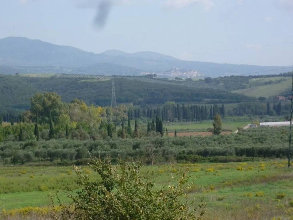 Terreno a Gavorrano in Località Castellaccia - Foto 3