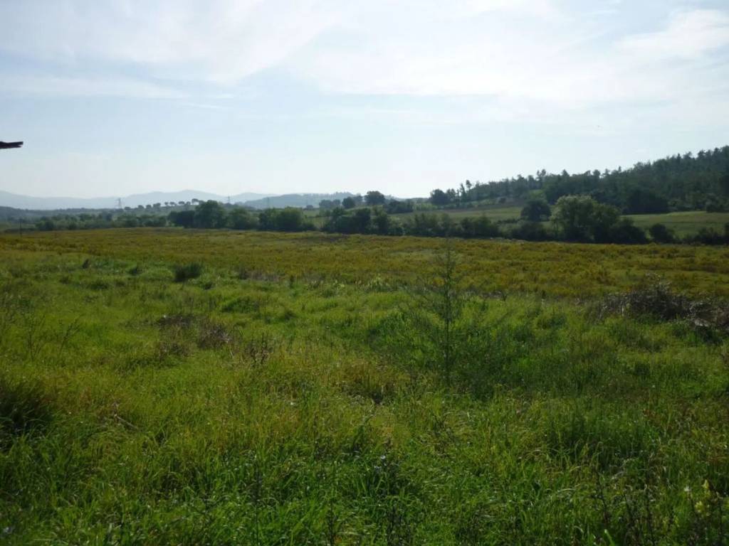 Rustico / casale a Gavorrano in Strada Provinciale Castellaccia - Foto 2