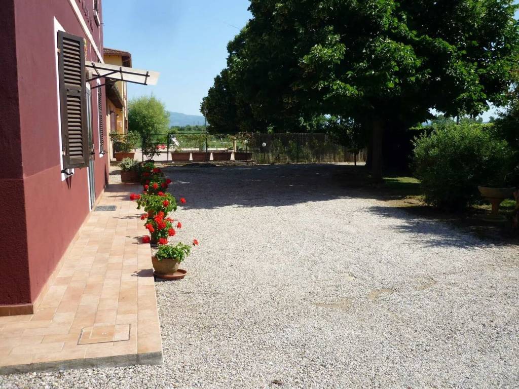Rustico / casale a Grosseto - Foto 3