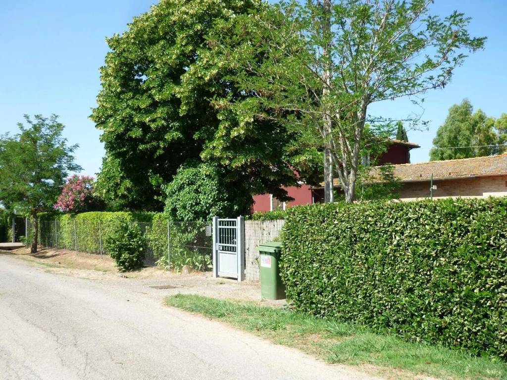 Rustico / casale a Grosseto - Foto 5