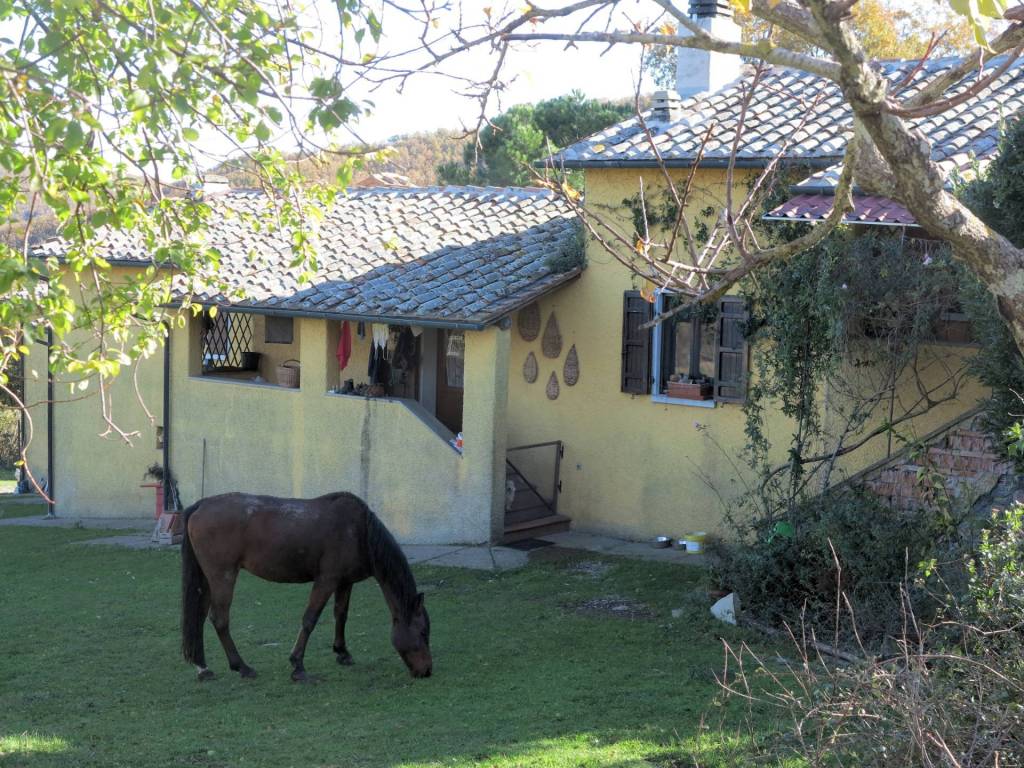 Rustico / casale a Montieri - Foto 5