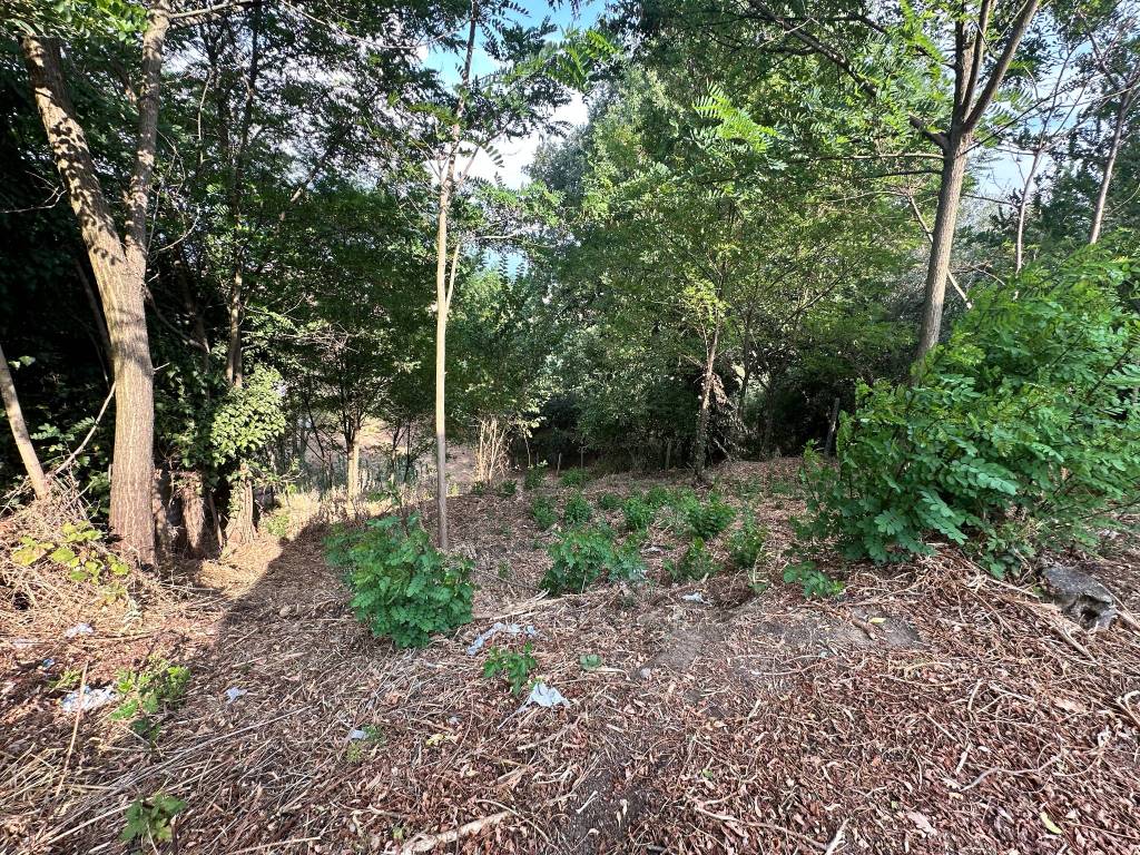 Rustico / casale a Alatri in Via del Ceppo 10 - Foto 2