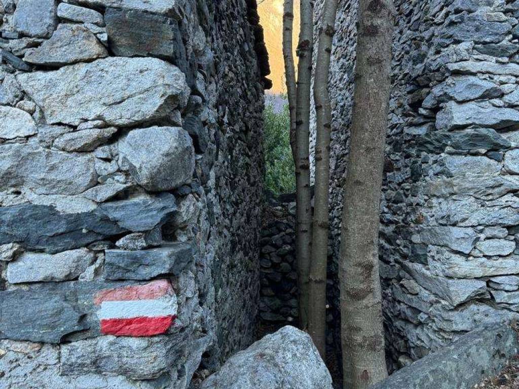 Rustico / casale a Piuro in Strada per Scilano - Foto 5