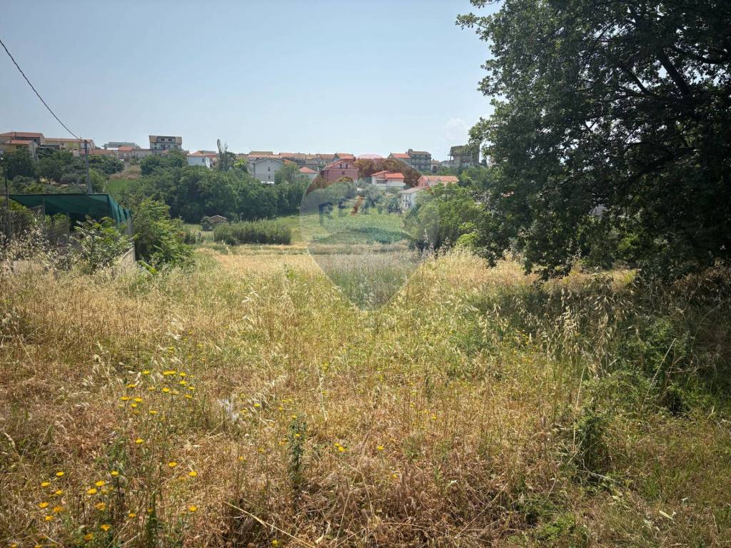 Terreno a Cepagatti in Via Varattiera - Foto 3