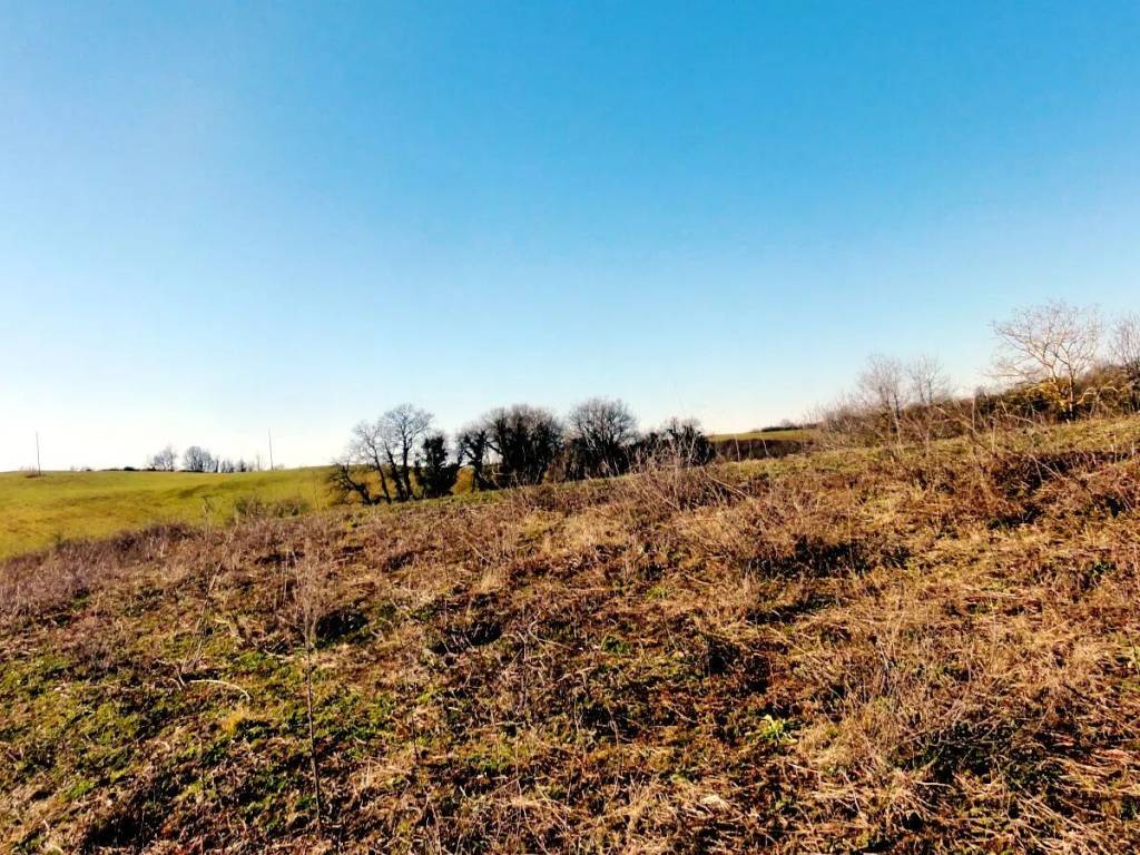 Terreno a Acquapendente in Strada Onano Sorano S.N.C. - Foto 4