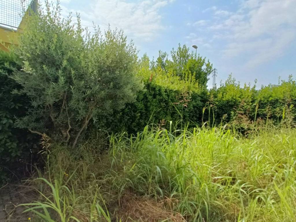 Appartamento a Noventa padovana in Via Antonio Canova - Foto 5