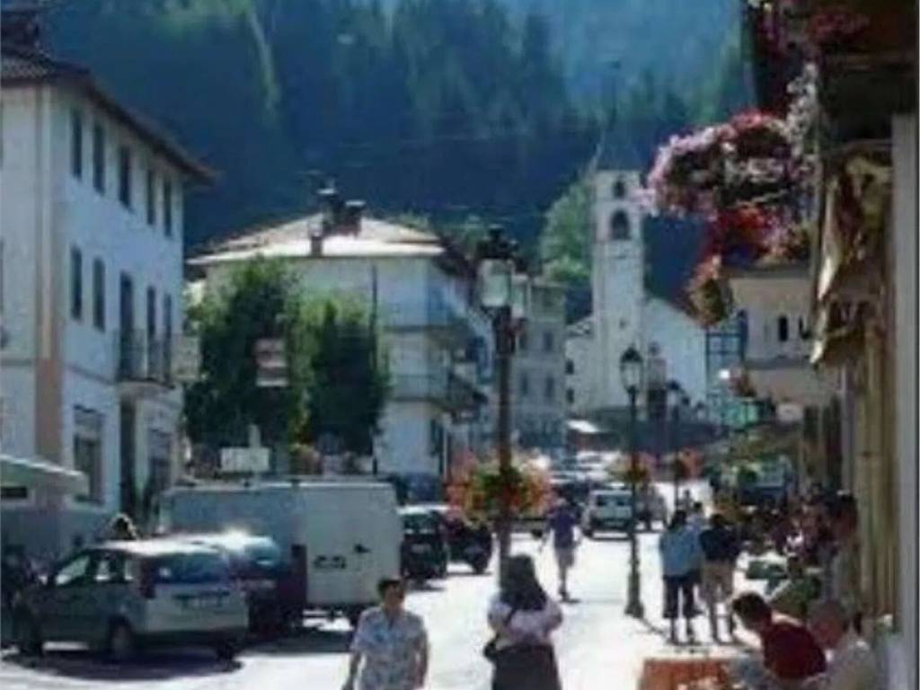 Terreno a Vigo di cadore in Via 4 Novembre, 40 - Foto 5