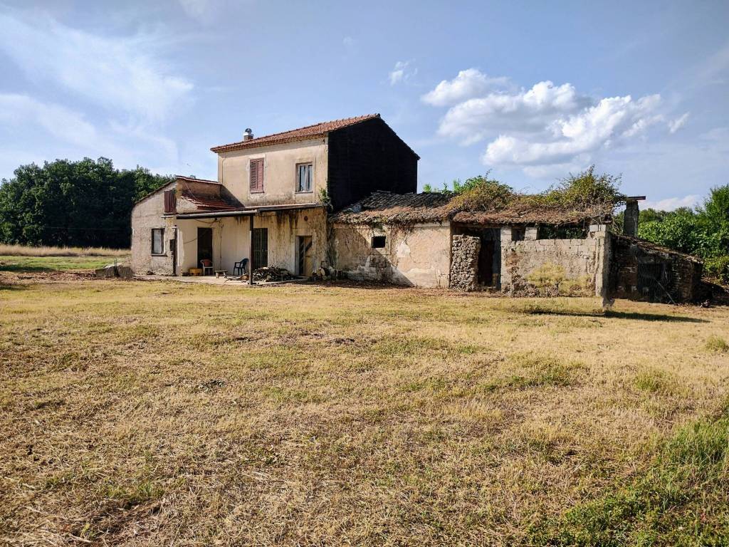 Rustico / casale a Roccasecca in Via Latina, 31 - Foto 2