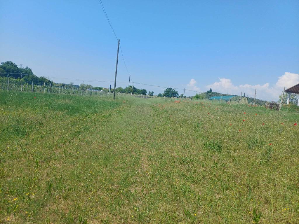 Terreno a Cavaion veronese in Località Casetta - Foto 4