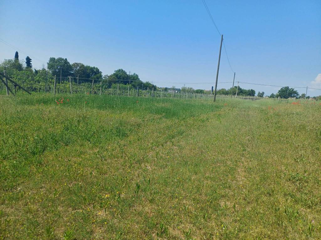 Terreno a Cavaion veronese in Località Casetta - Foto 5