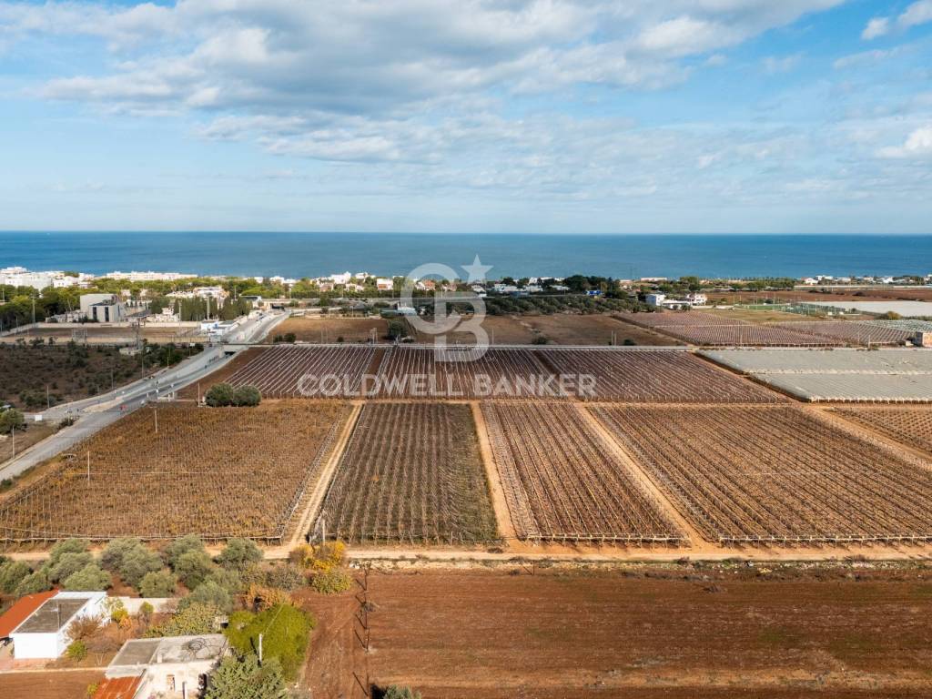 Terreno a Bari in Contrada Coppe di Bari - Foto 2