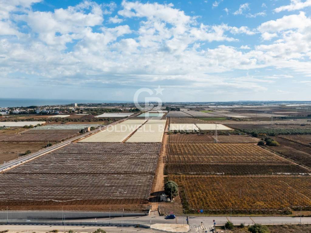 Terreno a Bari in Contrada Coppe di Bari - Foto 5