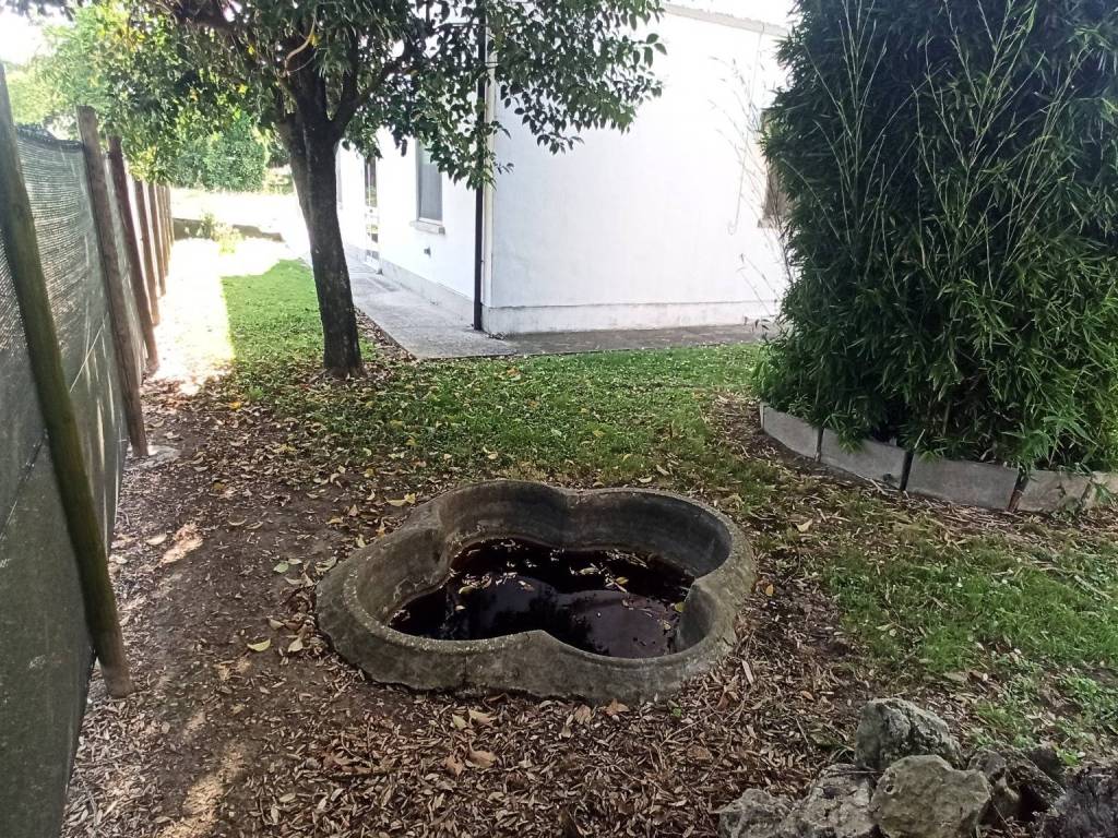 Villa a Bagnacavallo in Via Glorie, 207 - Foto 4