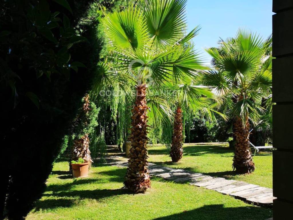 Villa a Città sant'angelo - Foto 3