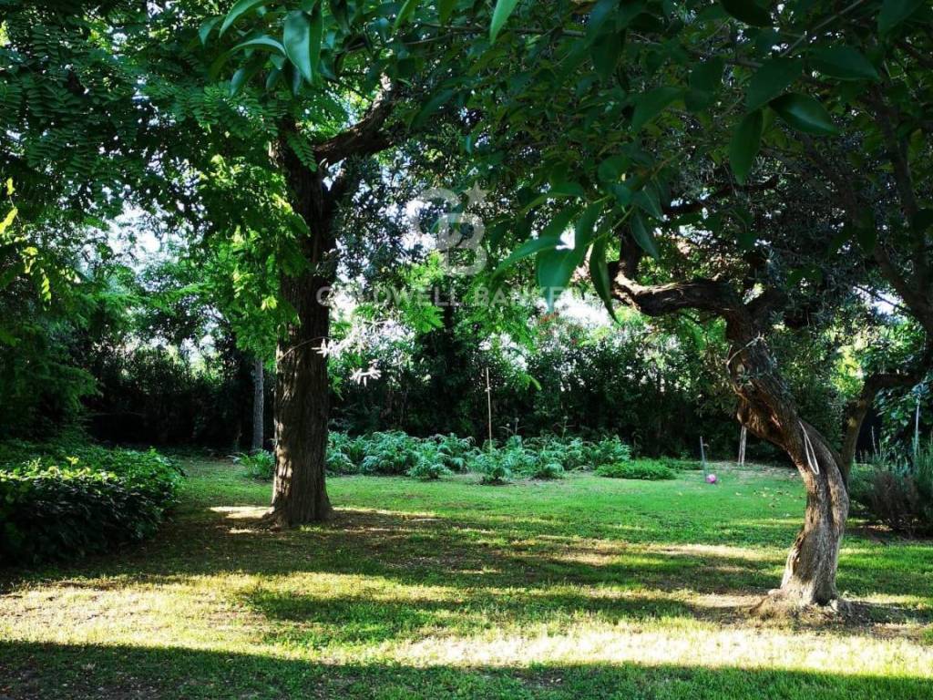 Villa a Città sant'angelo - Foto 4