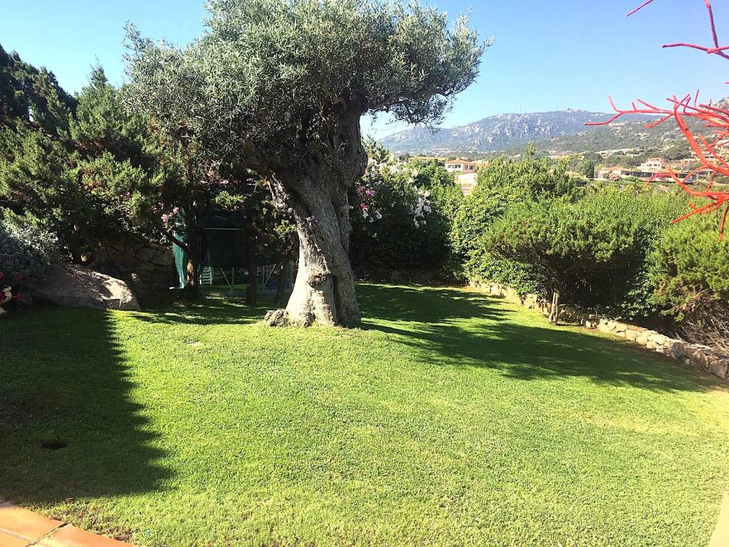 Appartamento a Arzachena in Via Porto Vecchio - Foto 5