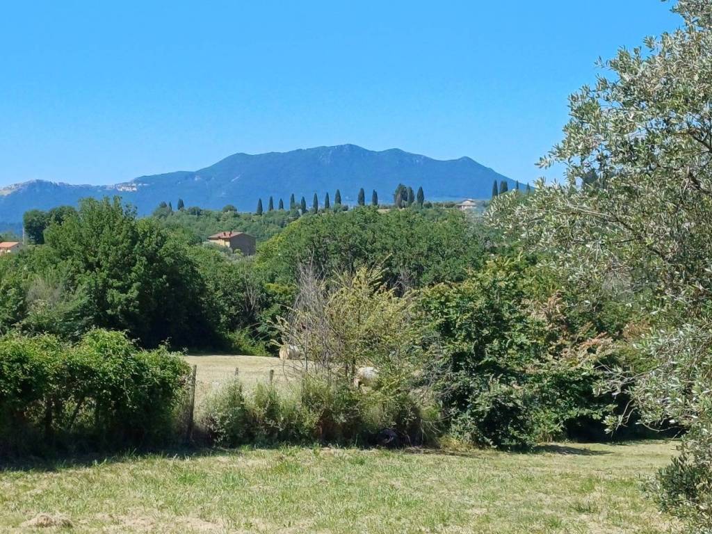 Terreno a Selci in Via del Colle - Foto 2
